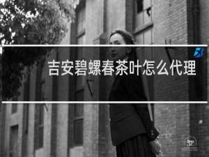 吉安碧螺春茶叶怎么代理