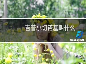 吉普小切诺基叫什么