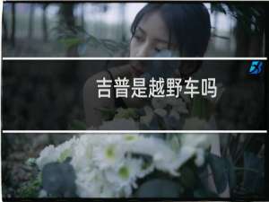 吉普是越野车吗
