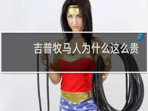 吉普牧马人为什么这么贵