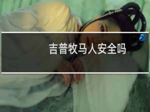 吉普牧马人安全吗