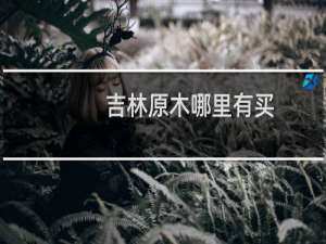 吉林原木哪里有买