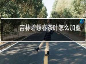 吉林碧螺春茶叶怎么加盟