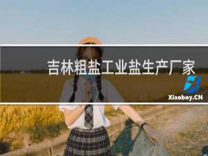 吉林粗盐工业盐生产厂家