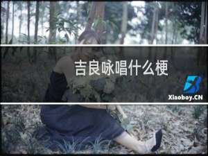 吉良咏唱什么梗
