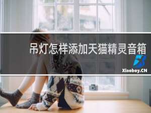 吊灯怎样添加天猫精灵音箱