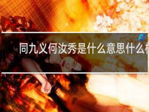 同九义何汝秀是什么意思什么梗