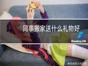 同事搬家送什么礼物好
