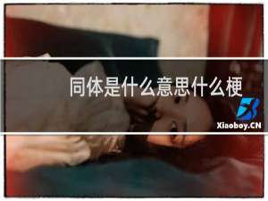 同体是什么意思什么梗