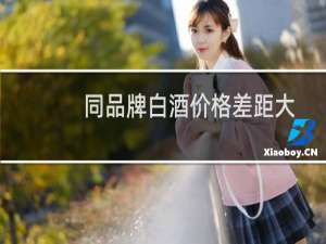 同品牌白酒价格差距大