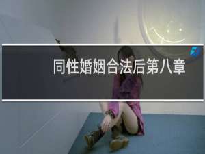 同性婚姻合法后第八章