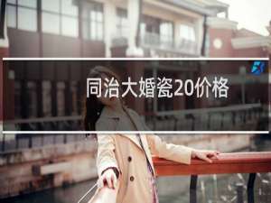 同治大婚瓷 价格