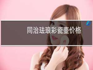 同治珐琅彩瓷壶价格