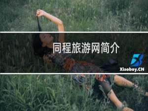 同程旅游网简介