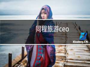 同程旅游ceo
