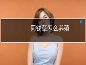 同钱草怎么养殖
