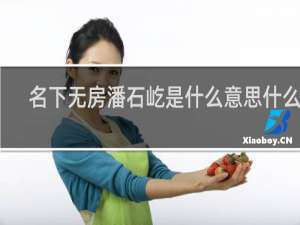 名下无房潘石屹是什么意思什么梗