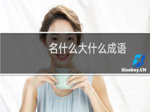 名什么大什么成语
