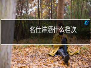 名仕洋酒什么档次