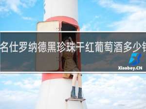 名仕罗纳德黑珍珠干红葡萄酒多少钱一瓶