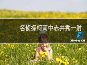 名侦探柯南中赤井秀一射击琴酒是哪一集