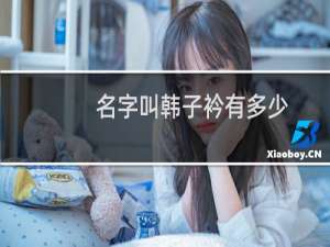 名字叫韩子衿有多少