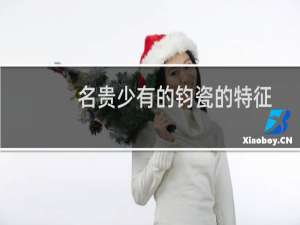 名贵少有的钧瓷的特征（如何辨认）