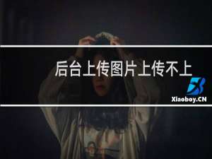 后台上传图片上传不上去