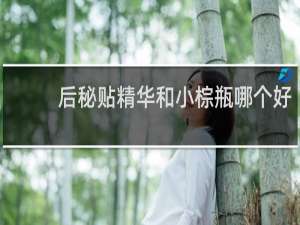 后秘贴精华和小棕瓶哪个好