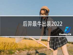后羿最牛出装2022