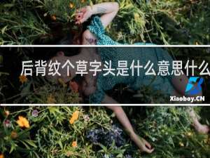后背纹个草字头是什么意思什么梗