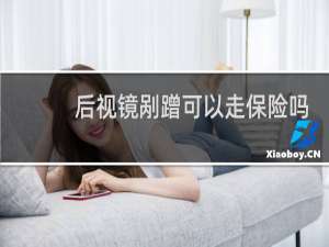 后视镜剐蹭可以走保险吗