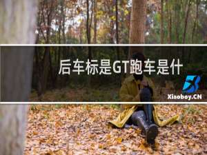 后车标是GT跑车是什么牌子（GT是什么车多少钱一辆）