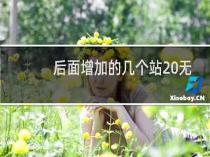 后面增加的几个站 无法添加负责人，请把网站负责人选为杨华这个