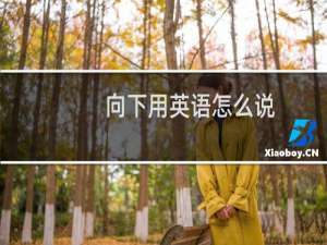 向下用英语怎么说