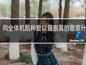 向全体机凯种致以最崇高的敬意什么梗