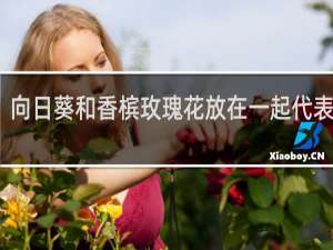 向日葵和香槟玫瑰花放在一起代表什么