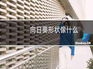 向日葵形状像什么