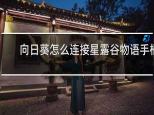 向日葵怎么连接星露谷物语手柄