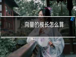 向量的模长怎么算（向量的模）