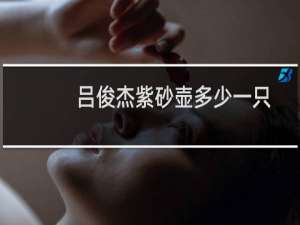 吕俊杰紫砂壶多少一只