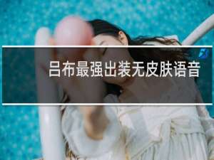 吕布最强出装无皮肤语音
