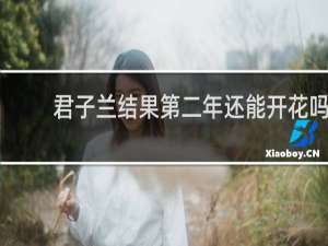 君子兰结果第二年还能开花吗