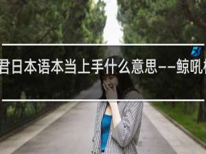 君日本语本当上手什么意思——鲸吼梗百科