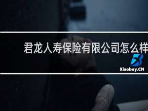 君龙人寿保险有限公司怎么样