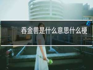 吞金兽是什么意思什么梗