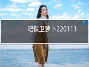 吧保卫萝卜2 111