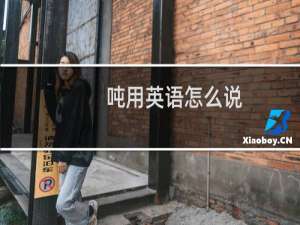 吨用英语怎么说