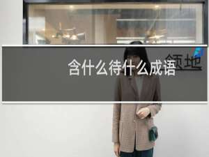 含什么待什么成语