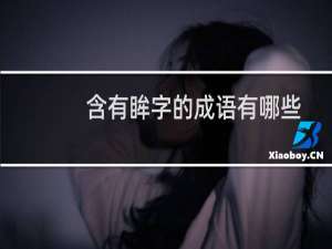 含有眸字的成语有哪些